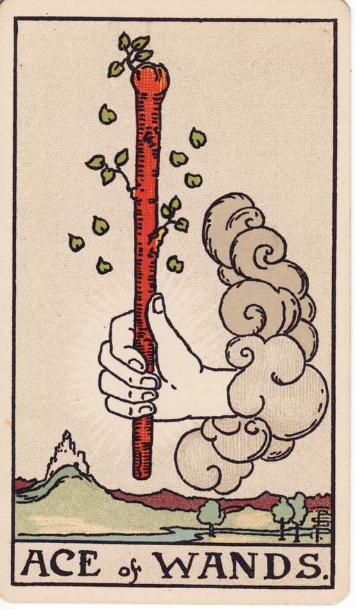 Ace of Wands