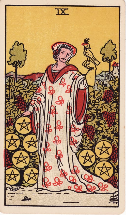 Nine of Pentacles