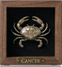 Cancer