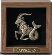 Capricorn